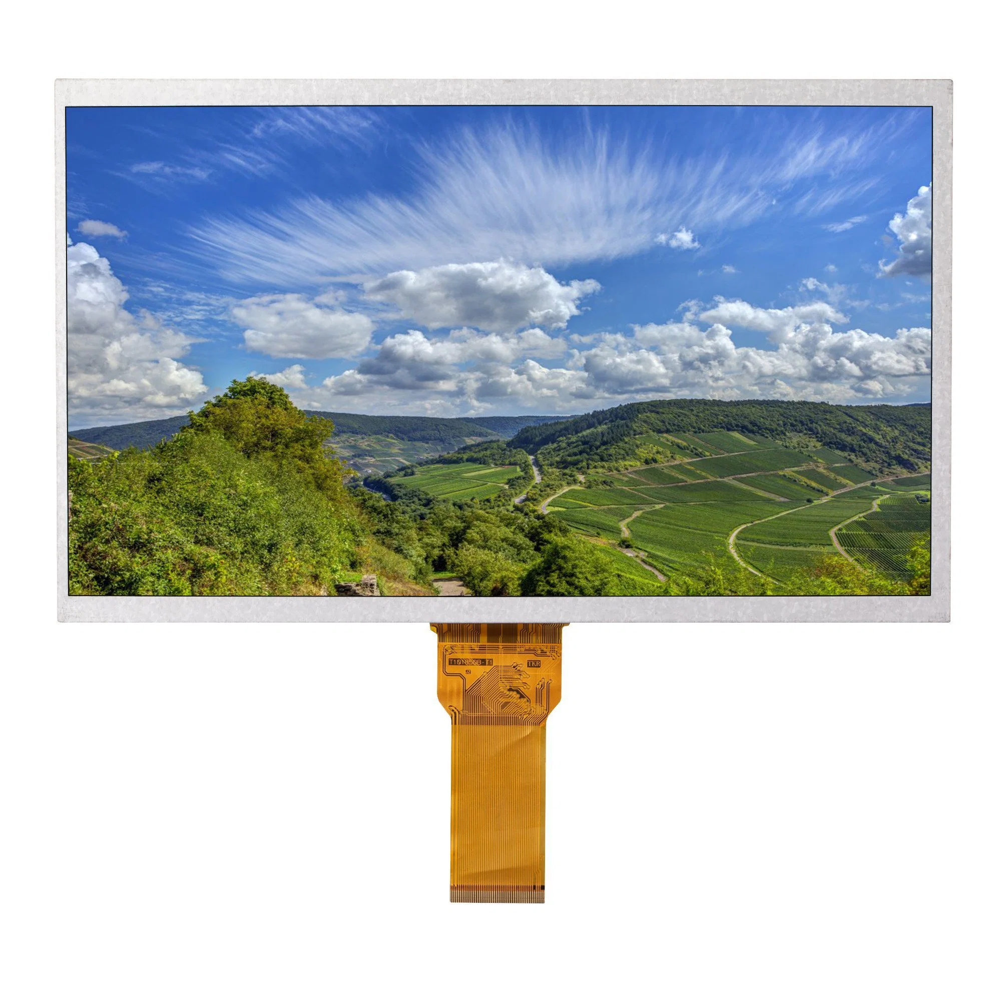 شاشة عرض TFT LCD بسعر المصنع مقاس 10.1 بوصة مقاس 1024x600 مزود بواجهة LVDS مزود بشاشة اختيارية تعمل باللمس للاستخدام مع أجهزة iPad، فئة السيارات