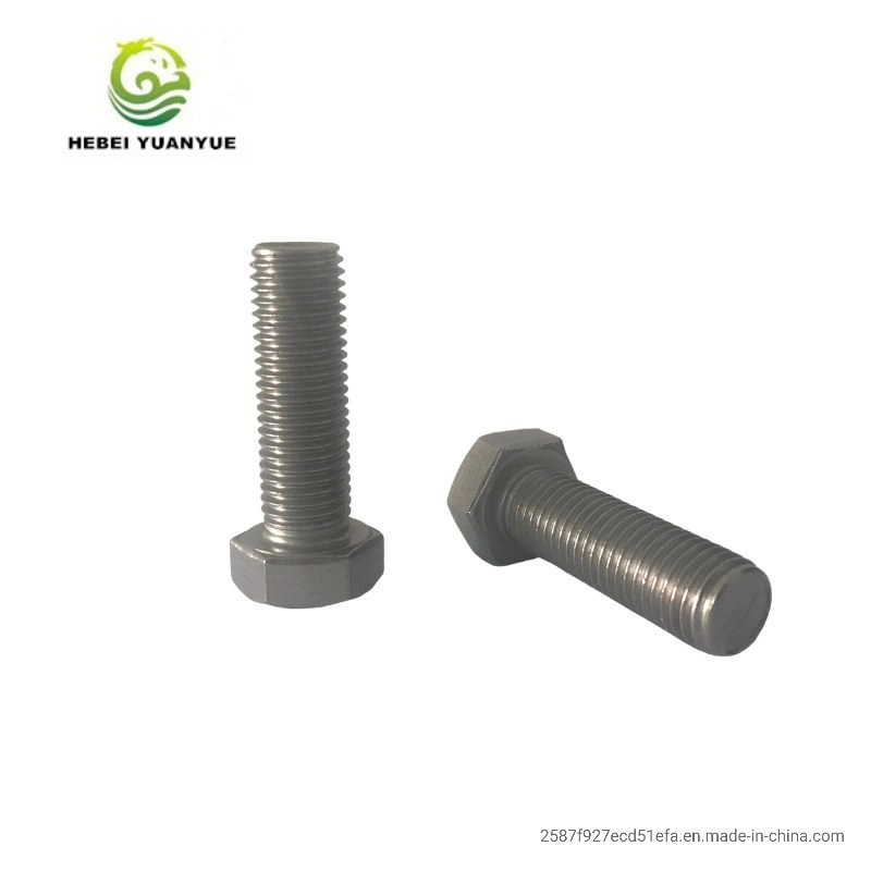 DIN934 Stainless Steel Heavy Hex Head Bolt and Nut