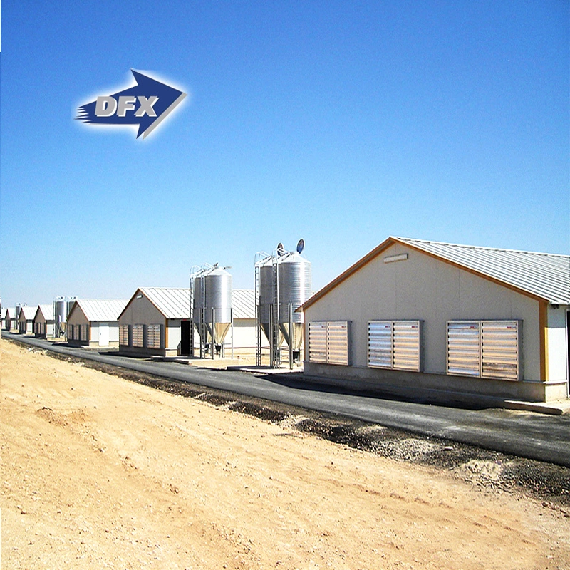 Qingdao Fabricated Steel Frame Poultry Farm House Business Plan for Chicken Shed