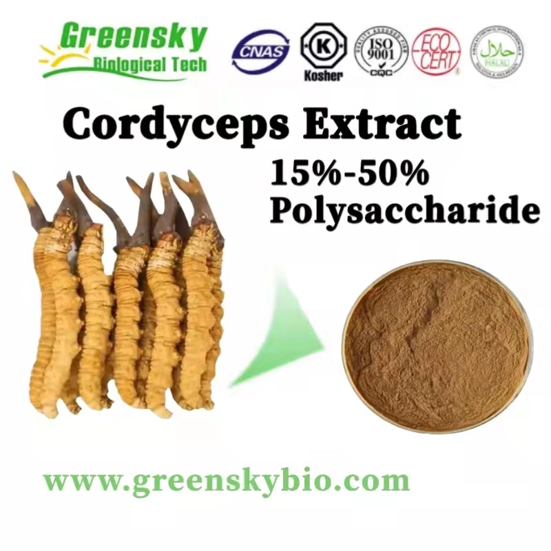 Cordyceps extrait pur et naturel 15%-50% extrait de plante polysaccharide extrait de fines herbes Additif alimentaire Soins de la peau cosmétiques Produits chimiques des aliments de santé