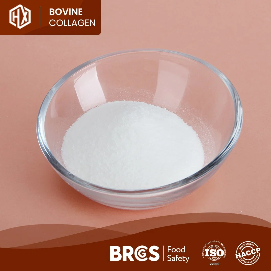 Haoxiang Collagen Peptides From Bovine Hide OEM Customized Bovine Collagen Powder Quality Collagen Tablet China Supplier Sample Available Grass Fed Collagen