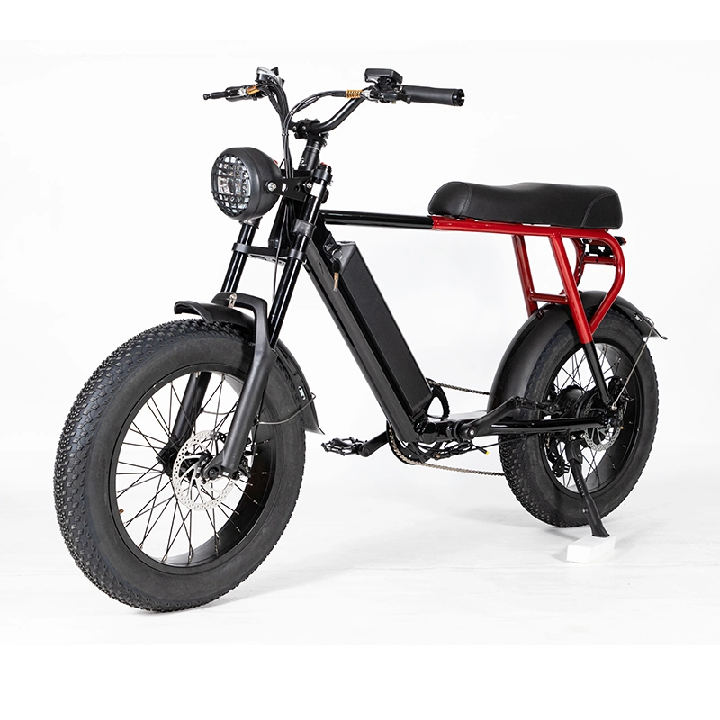 500W Brushless High-Speed Electric Bike 20ah Lithium Battery 20 Inches