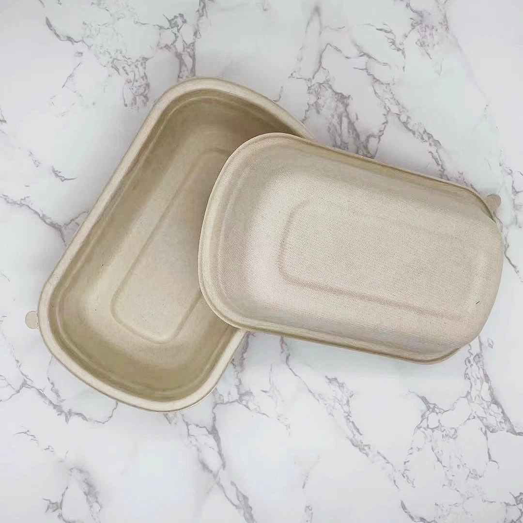 Boîte d'emballage en cellulose de canne à sucre dégradable blanche