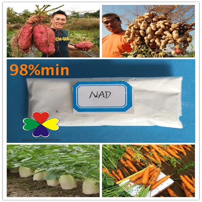 High quality/High cost performance 1naphthylacetamide Nad 98%Tc with Best Price