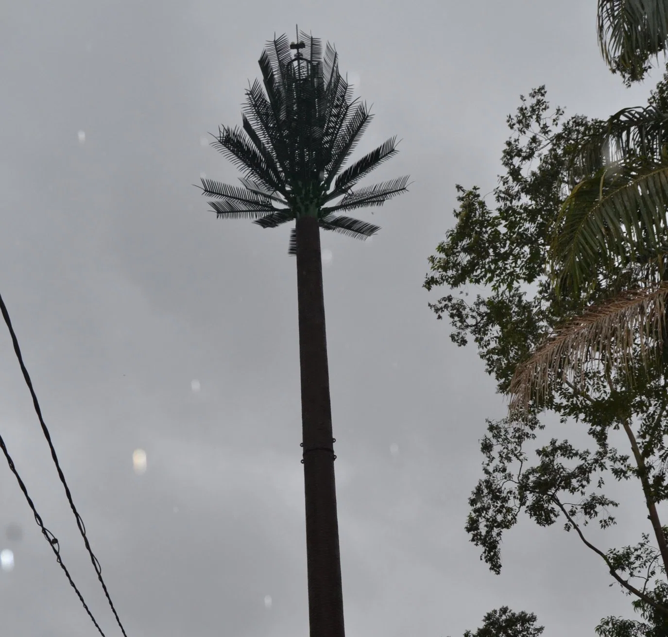 Camouflaged Palm or Pine Tree Monopole Antenna Mobile Telecom Tower