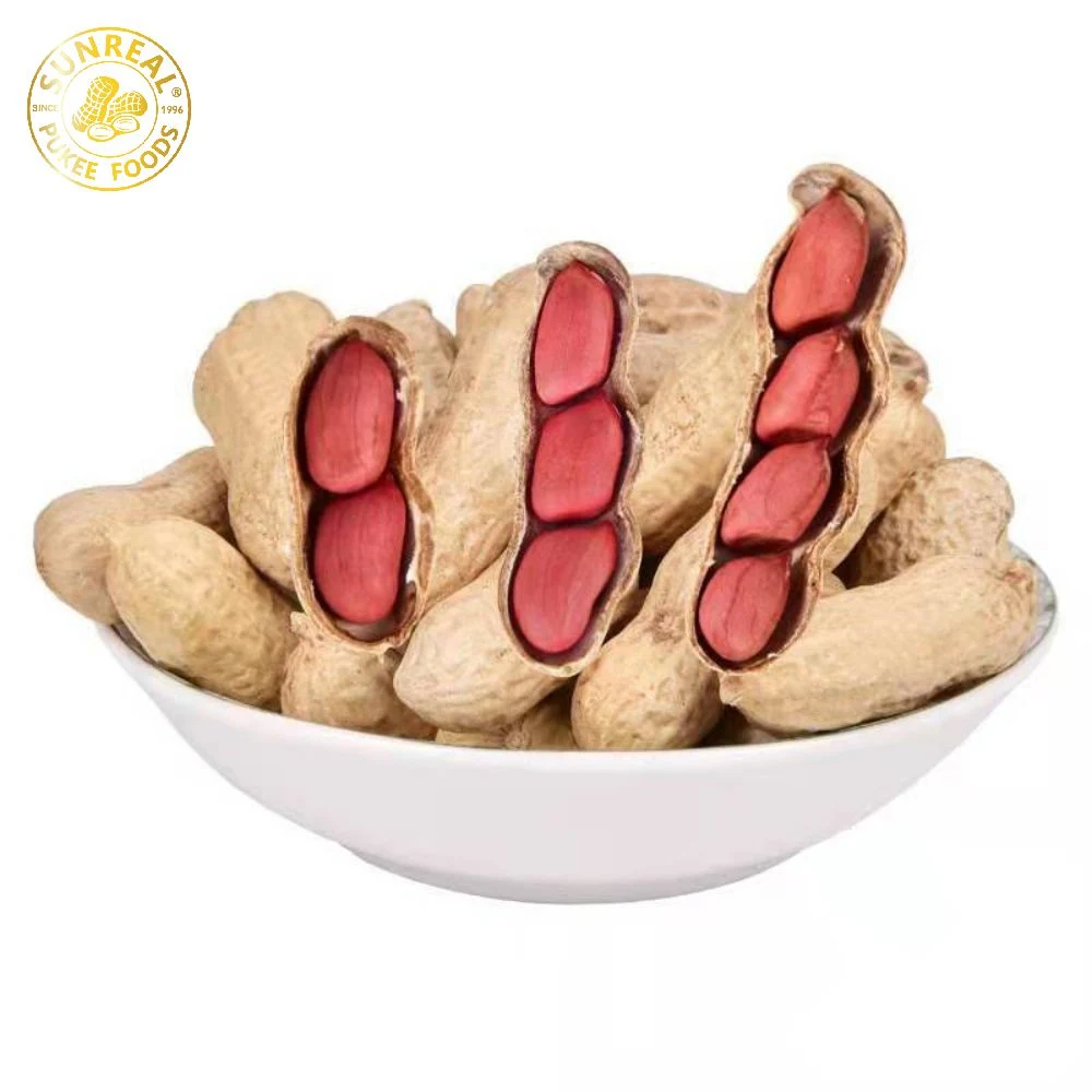 Roasted Peanut in Shell/Red Skin Peanut in Shell/Best Quality From China Good Shape