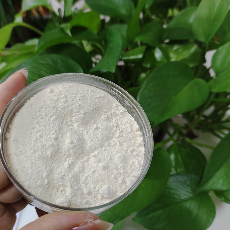 Bulk Pullulan Powder Pharmaceutical Pullulan Powder CAS 9057-02-7pullulan Raw Powder