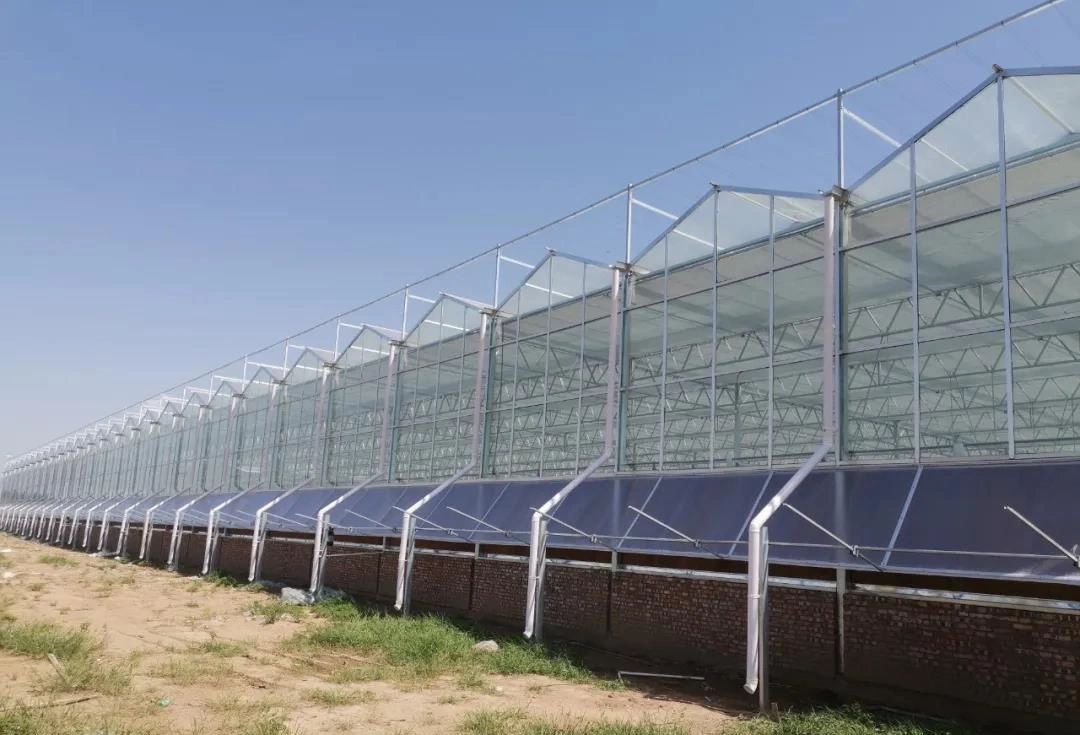 Factory PC Sheet/Poly Carbonate Greenhouse with Irrigation Hydroponic System for Vegetables Growing Free From Chemicals and Pesticides