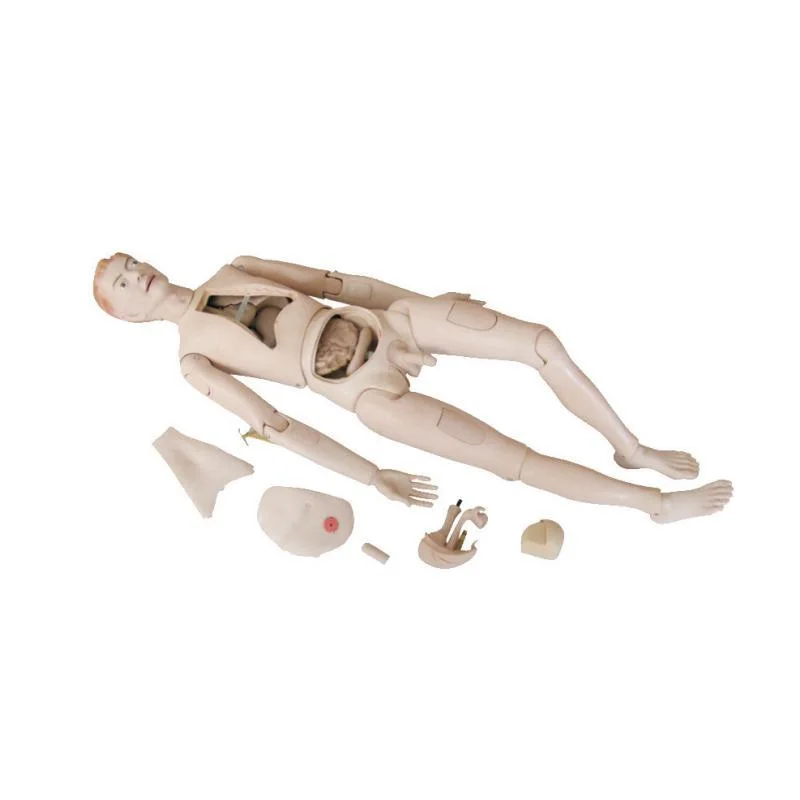 Nursing Training Model Multi-Functional Nursing Training Manikin Mannequin Male