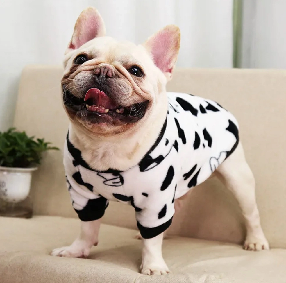 Boutique Winter Dog Clothes Wholesale/Supplier Pets Printed Sweatshirts