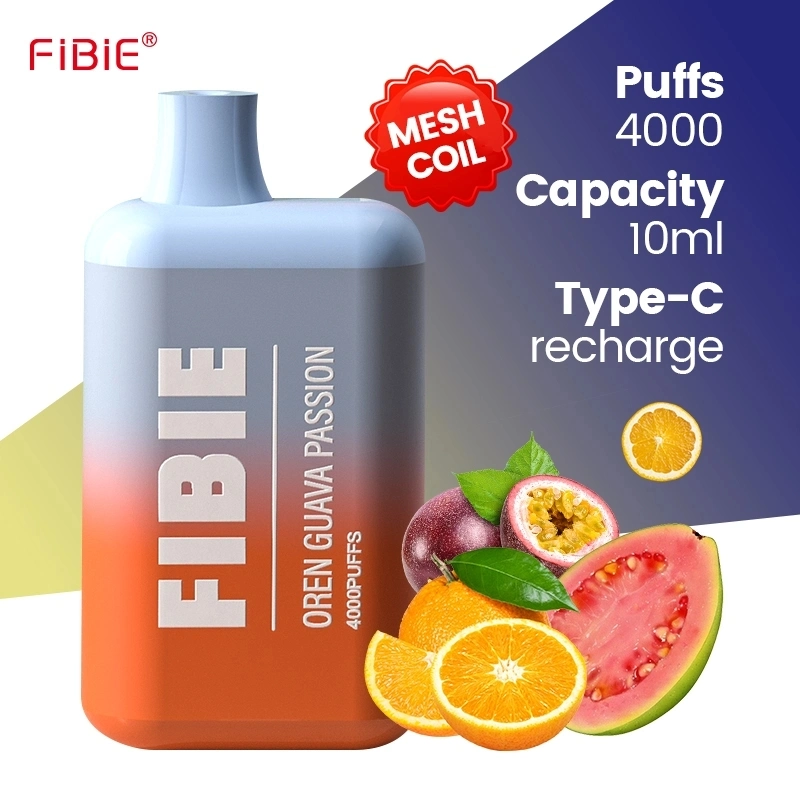 Good Quality Disposable/Chargeable Vape Pen Fibie Box 3000 4000 5000 Puffs