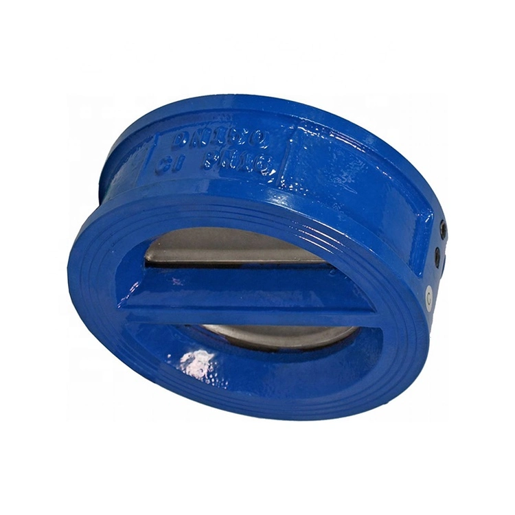 DIN Ductile Cast Iron Di Flanged End Wafer Swing Check Valve DN50 Pn16