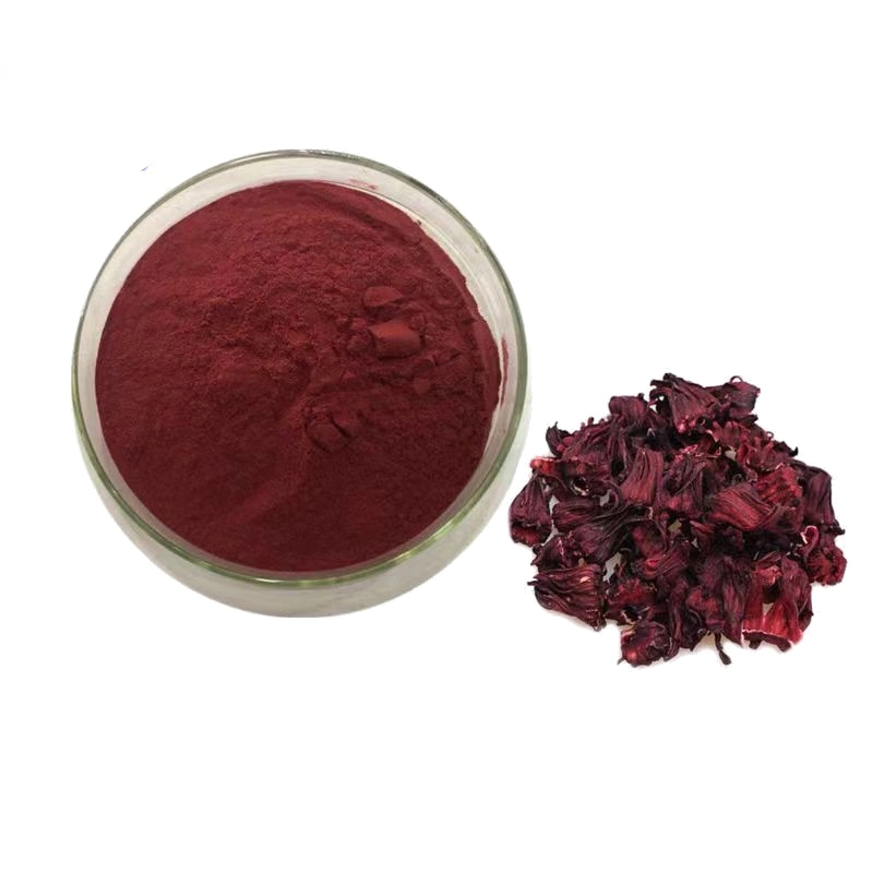 Extracto herbario natural Extracto de Hibiscus Hibiscus Flor polvo ácido Hibiscus 30%