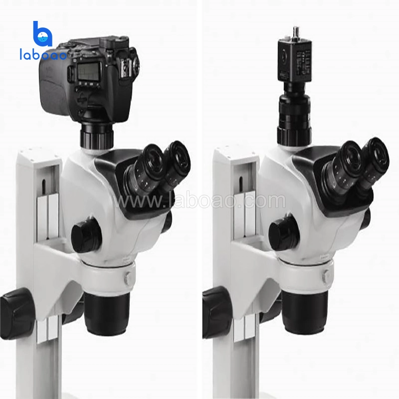 Microscopio óptico Lab microscopio binocular con zoom de forma continua