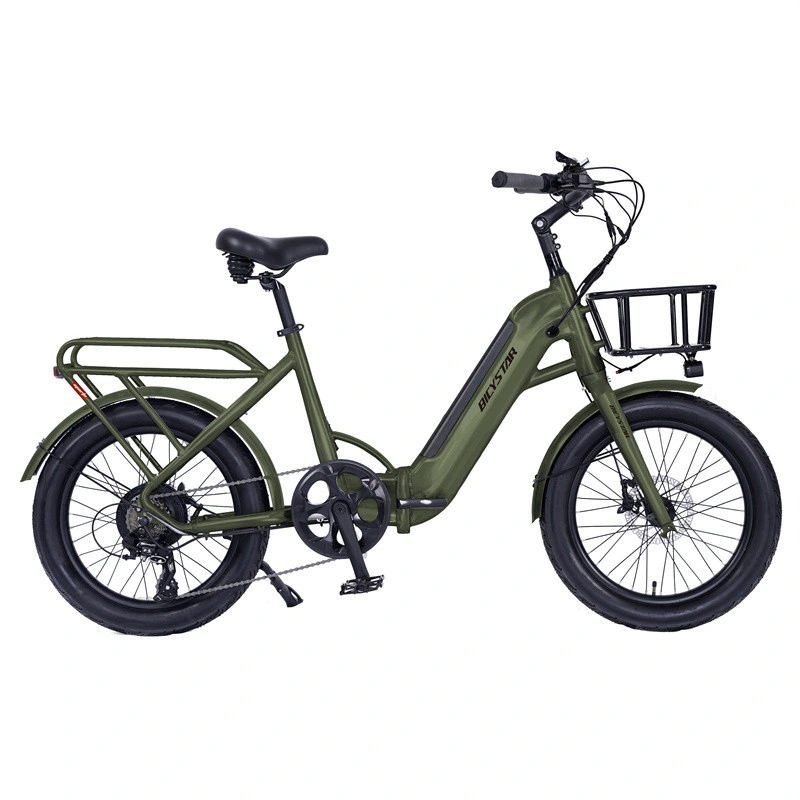 La ciudad china de Tianjin de Entrega de Kit de conversión de FAT Ebike E Bike bicicleta bicicleta plegable 500 W