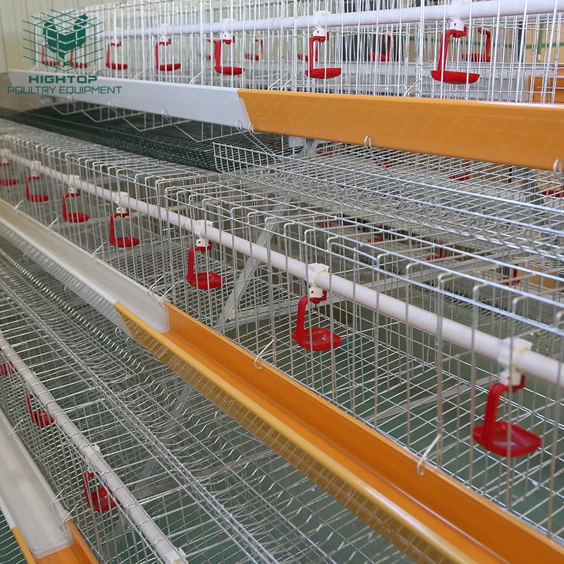 Zâmbia Egg Chicken Farm UM tipo 3 Tier Layer aves Gaiola para 1000 pássaro