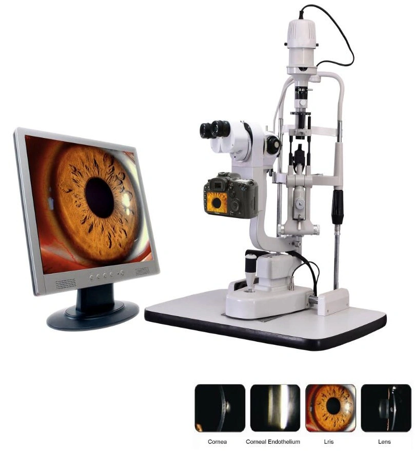 Medizinische Ophthalmologische Digital-Lampe