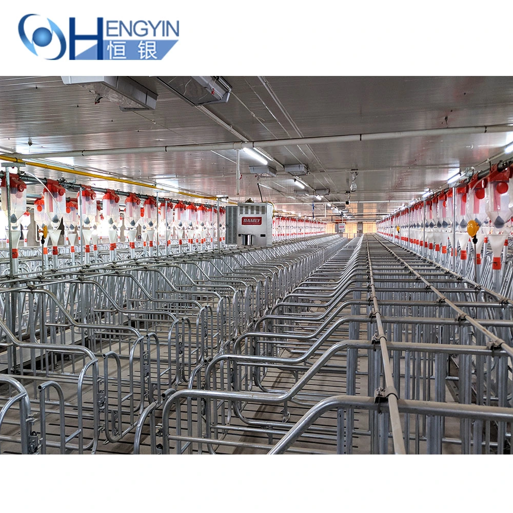 Eighty Percent Pig Farm Use Galvanized Pig Cages