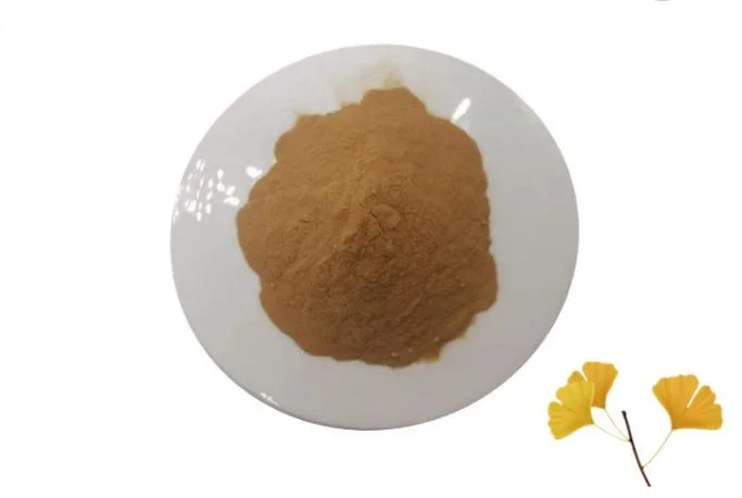 Ginkgo biloba استخراج 24 ٪ من النكهات الإجمالي 6 ٪ Terpene Lactones 5 ppm