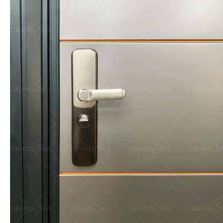 Villa Anti-Theft Security Custom Modern Other Steel Entry Door with Multi-Point Lock