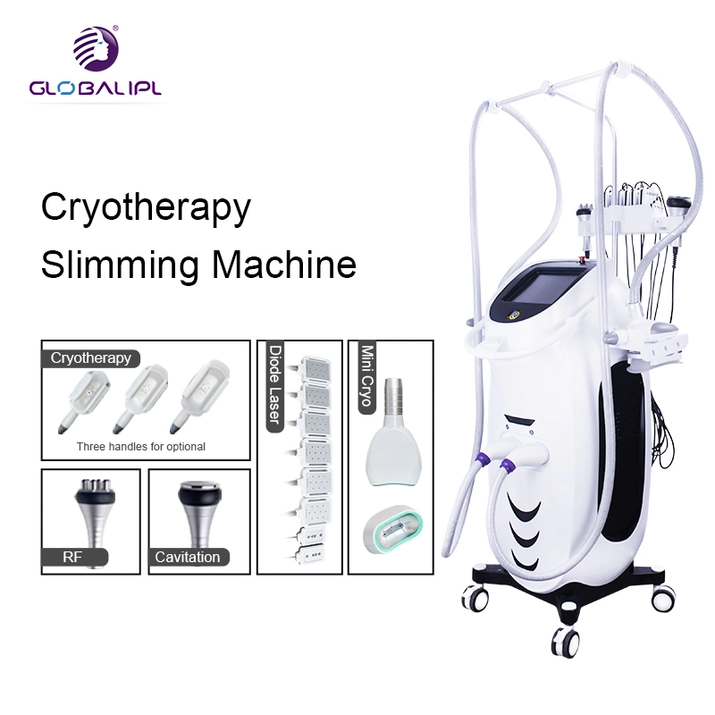 5 pièces à main Fat Freeze Lipo facial Lift Beauté Cryotherapy Slimming Machine de congélation de la graisse