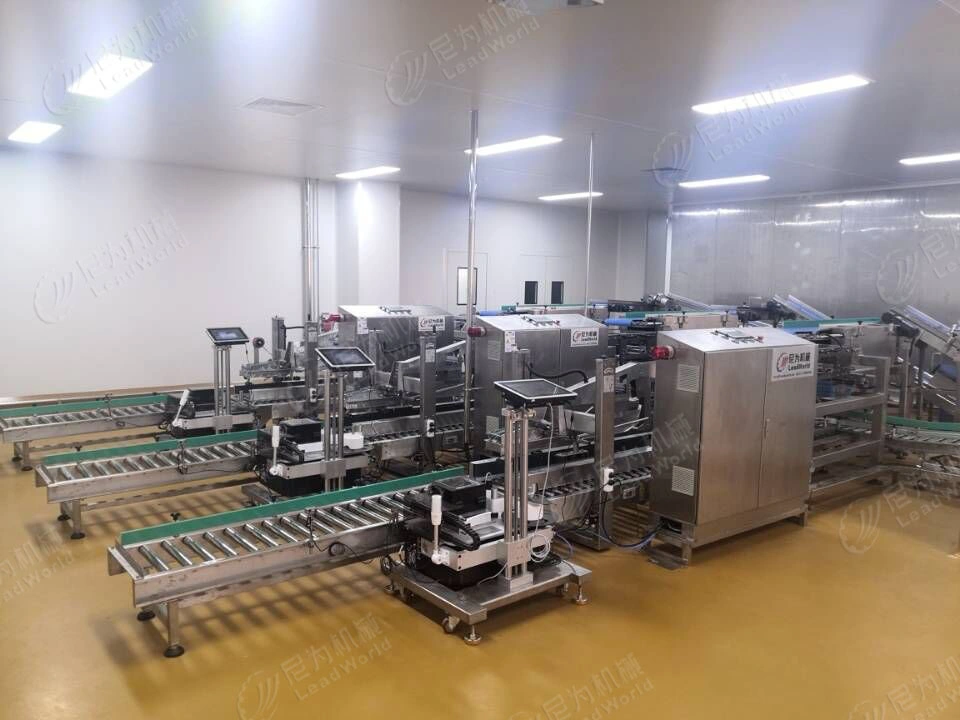 Automatic Case Packer Horizontal and Vertical Carton Bagged Meat Free Fall Packing Machine