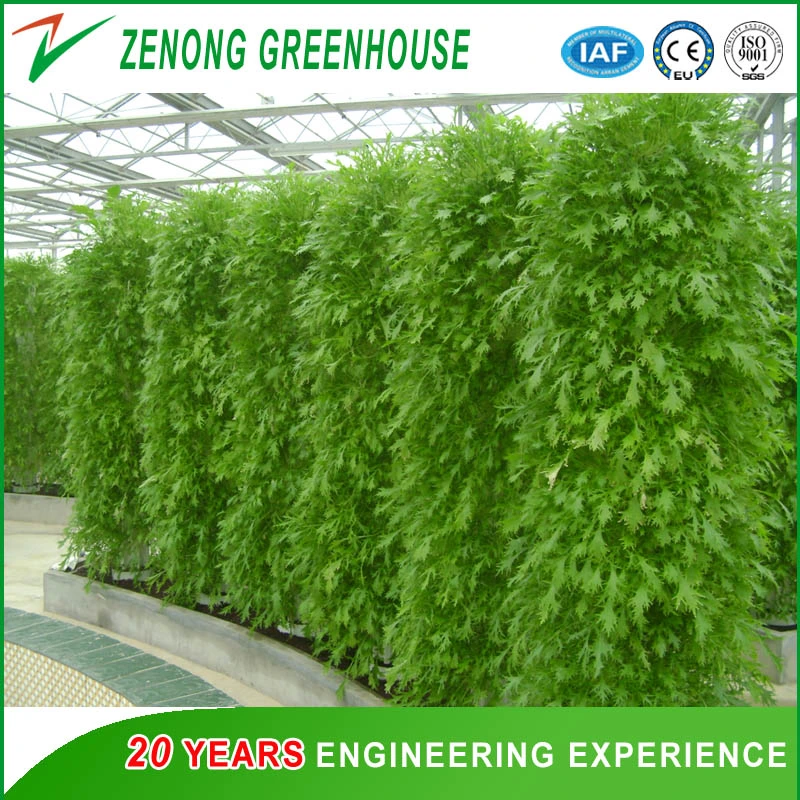 Factory Supply High Tech Hydroponics System Agriculture Planting Greenhouse Materials