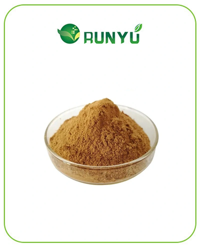 Lotus Leaf Extract Nuciferine Powder