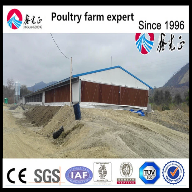 Poultry Farm Chicken Feeding Equipment Broiler Pan Feeder