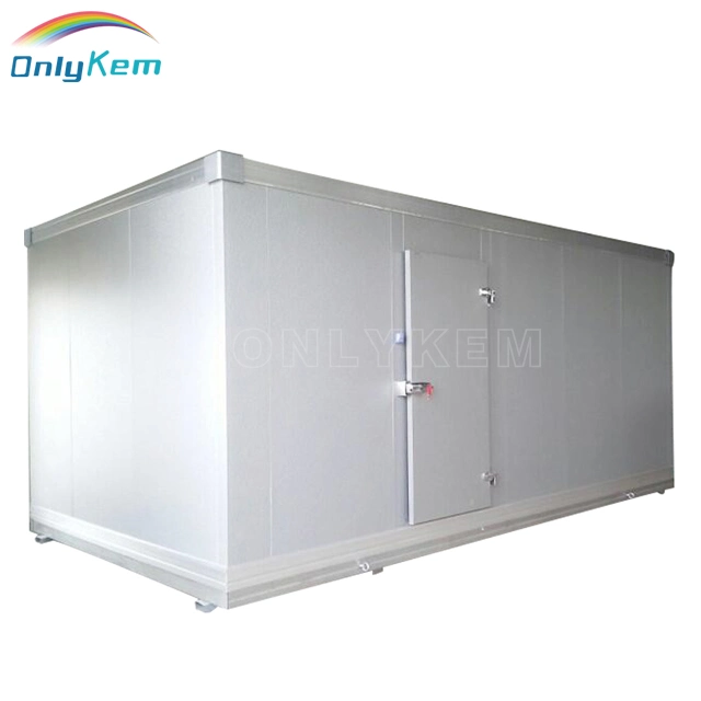 Customized Cold Room for Food Storage