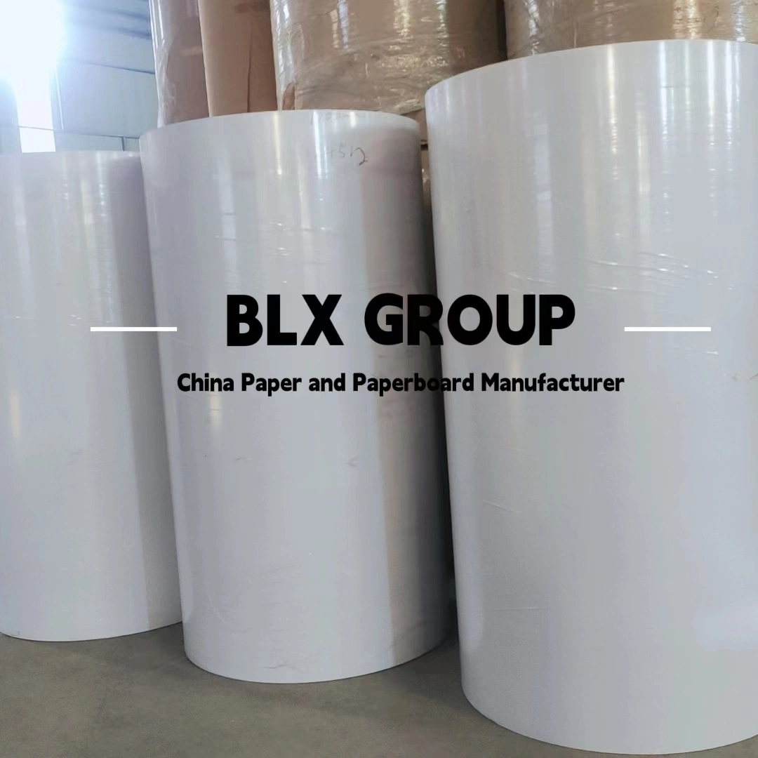 Color blanco Woodfree imprimir papel sin estucar, rollo de papel offset