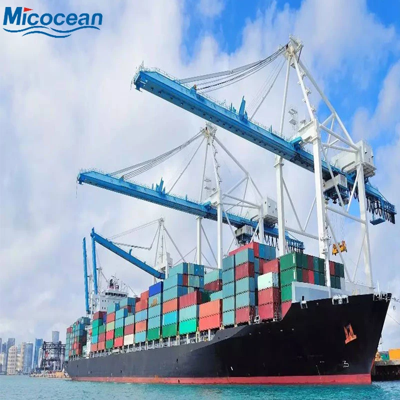 Ocean Shipping International Freight Forwarder Sea Shipping de Chine à Chypre