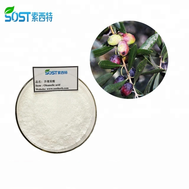 Hot Selling High Quality EU Organic Oleanolic Acid