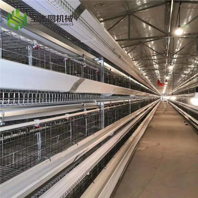 Hot Sale Poultry Farm Laying Hens Cage H Type Automatic Layer Battery Cages System for Sale