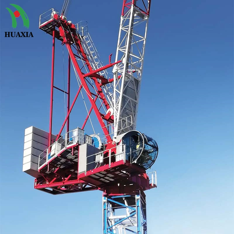 Plato de carga máxima 10ton Self-Erecting Luffing China Grúa torre