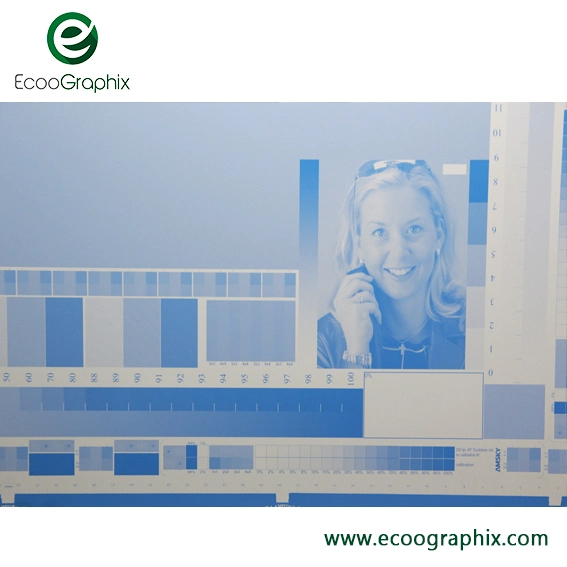 Ecoographix Thermal Double Layer CTP Plate for Offset Printing with Long Impression