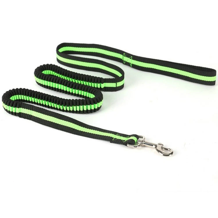 Hot-Sale High-Quality Sport Style Mesh with Reflective Strip 12mm~15mm Nylon Pet Least