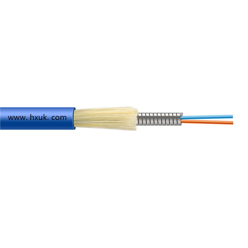 Indoor Double Armoured Spiral Wire Aerial Fiber Communication Cable (Gjsfjv)