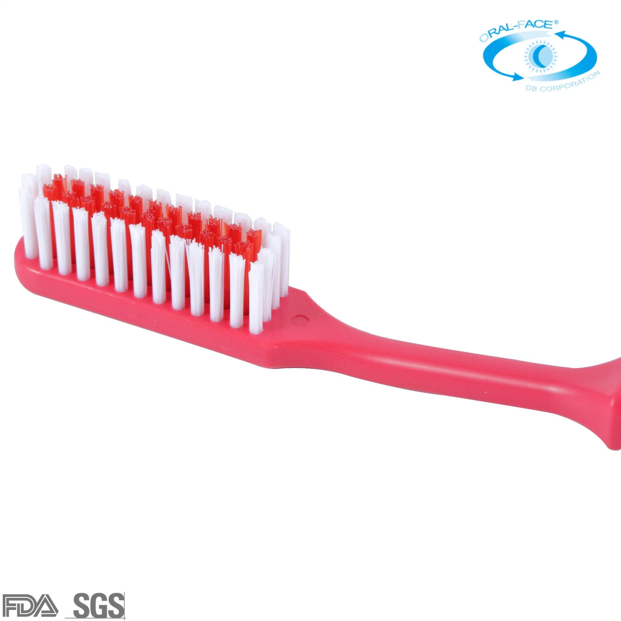 Daily OEM Colorful Adult Wholesale/Supplier Household/Travel Oral Care Toothbrush