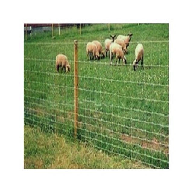 Grassland Fence Cheap Price Galvanized Kraal Network