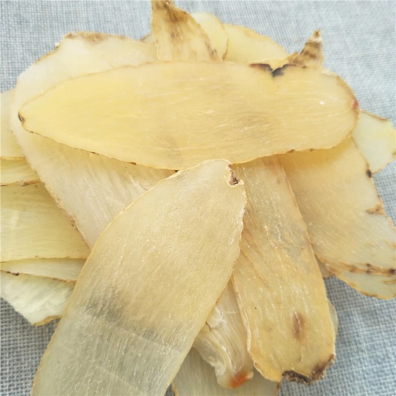 Tian Ma por grosso China Gastrodia Rhizoma Gastrodiae secas derivadas de raiz para o reumatismo