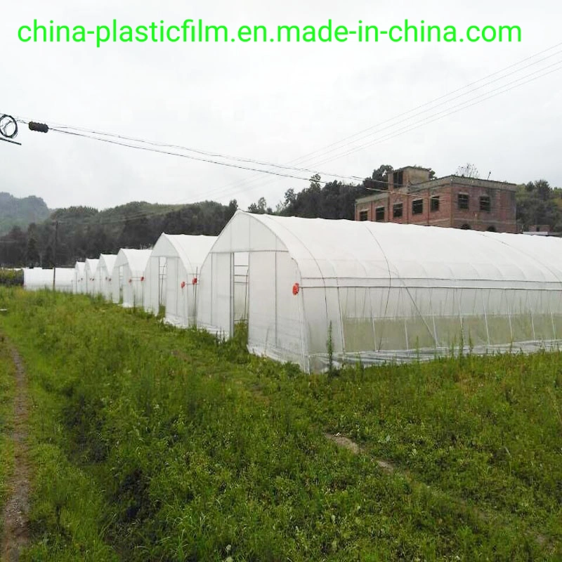 Agricultural Low Density Polyethylene UV Treated Plastic Sheeting Anti-Drip Greenhouse Plastic Film