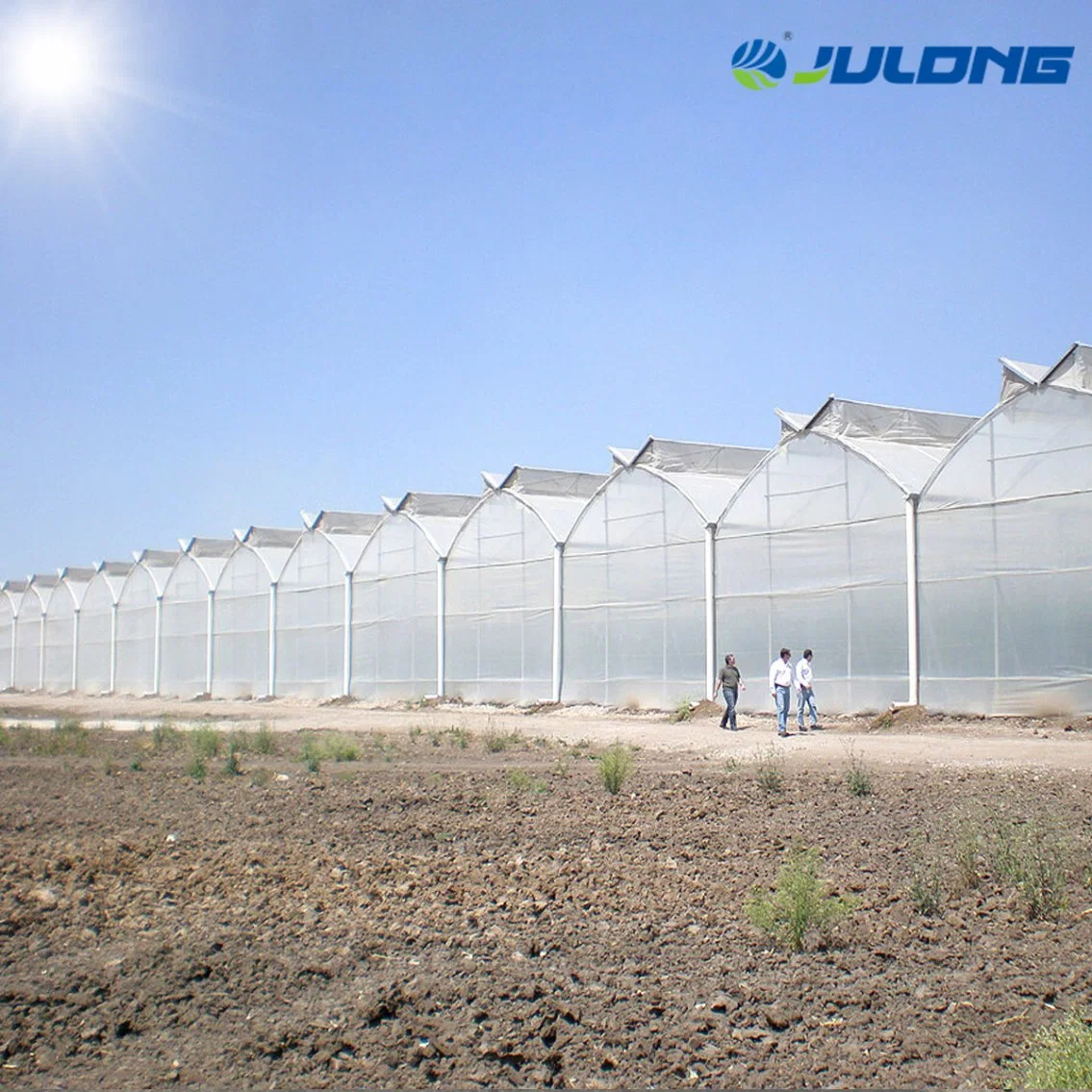 Multi-Span Agriculture Po PE Film Greenhouse for Tomato Planting