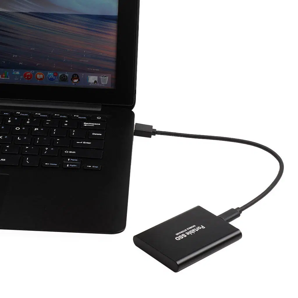 Disque dur SSD 2,5 pouces de 2 To Disque dur externe d'expansion HD USB3.0 Périphérique de stockage personnalisé de disque dur pour ordinateur portable