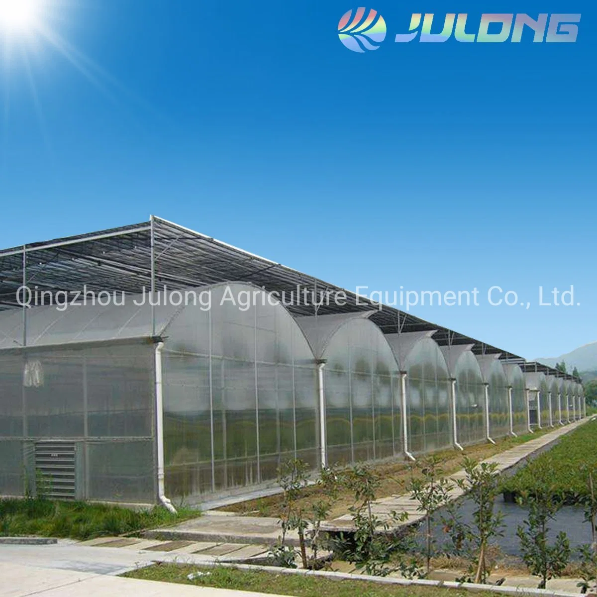 Low Cost Agricultural Greenhouse Plastic Film Polycarbonate for Tunnel Greenhouse