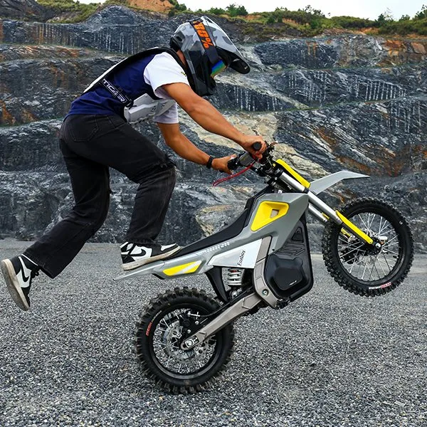 Electric Motorcycle Kids Electric Powerful Dirt Bike Pit Bike