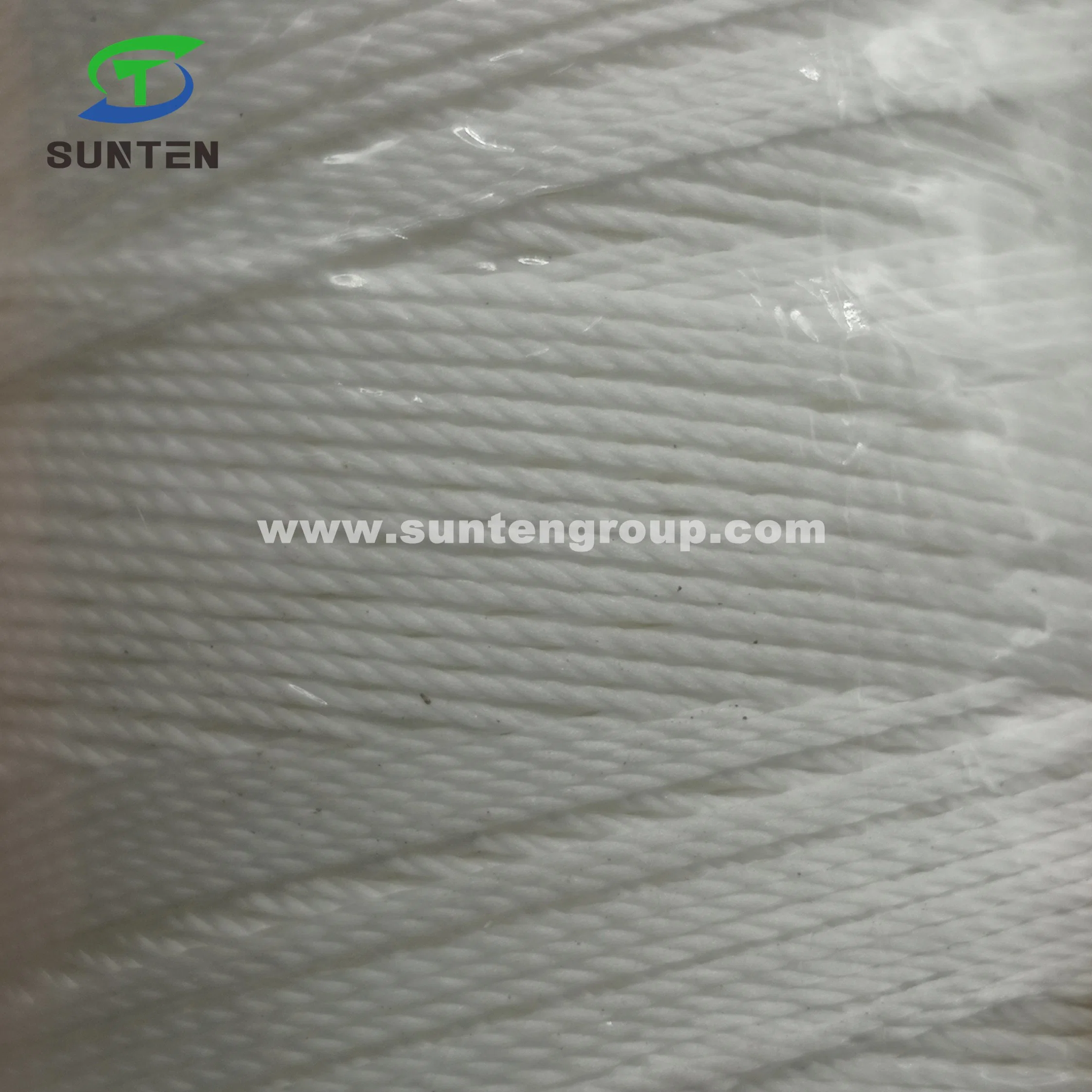 Made in China/Fishing Net Line/EU Standard High Tenacity PA/PE/PP/Polyester/Nylon/Polyethylene Plastic Twisted/Braided