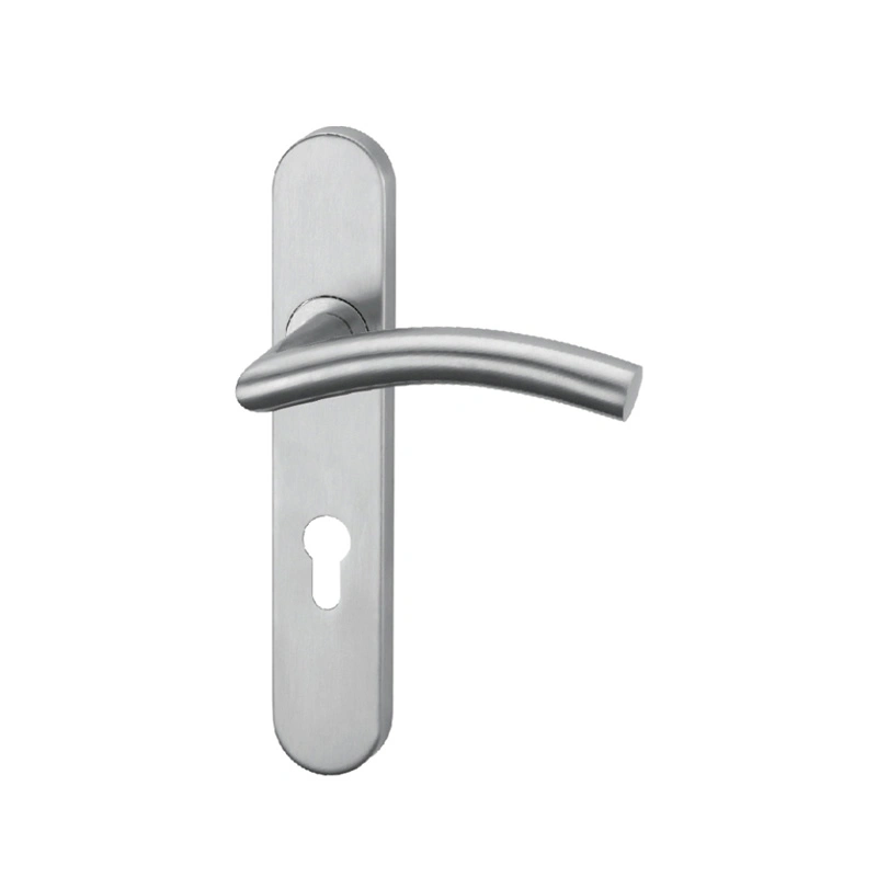 Puerta de acero inoxidable de alta calidad Handle-Lh bloqueo0156