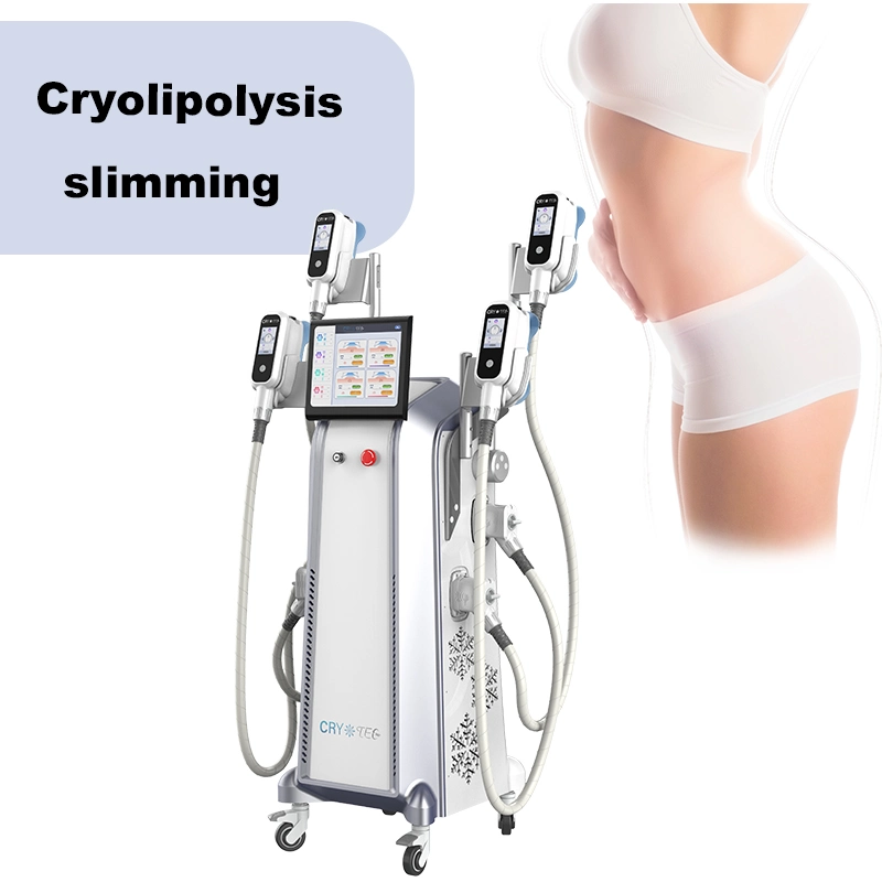 Original Manufacturer Cryo Therapy Vacuum Coolshape Beauty New Product Cryolipolysis Freeze Sculptor with CE