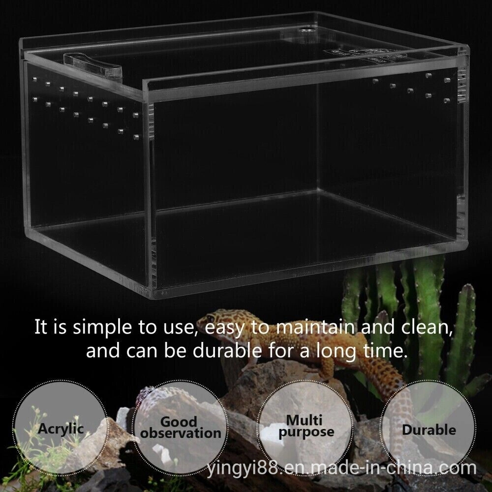 Les cages de reptile acrylique personnalisée Pet Cas d'alimentation